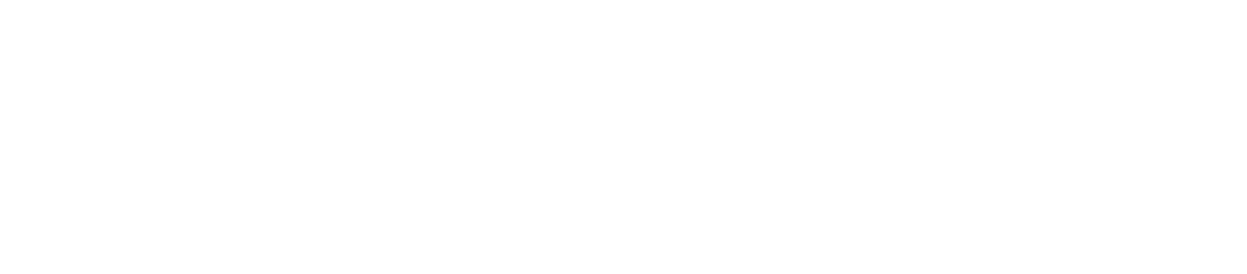 RT Consulting Inc.